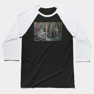 Tall, bare tree trunks. Baseball T-Shirt